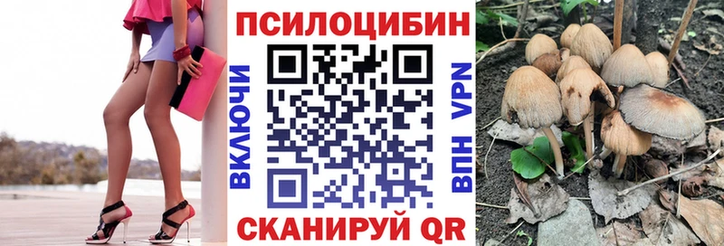 мориарти состав  Тверь  Псилоцибиновые грибы Magic Shrooms 