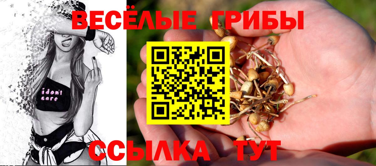 Тверь  Псилоцибиновые грибы Magic Shrooms  купить наркотики сайты  Вход с VPN  Псилоцибиновые грибы мухоморы 