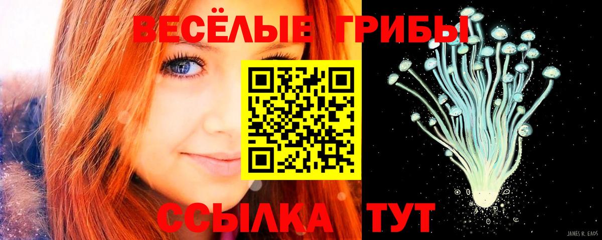 Галлюциногенные грибы Cubensis Тверь